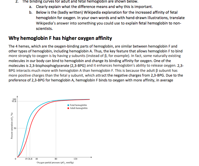 Solved 2. The binding curvestor adult and fetal hemoglobin | Chegg.com