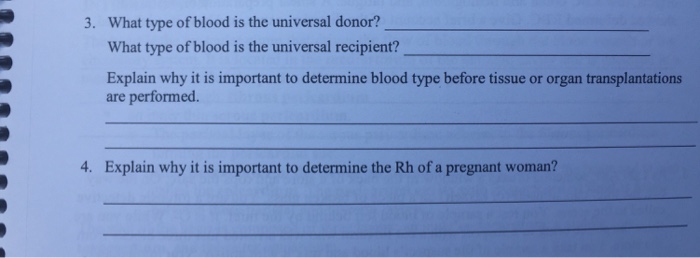 type blood is the universal recipient