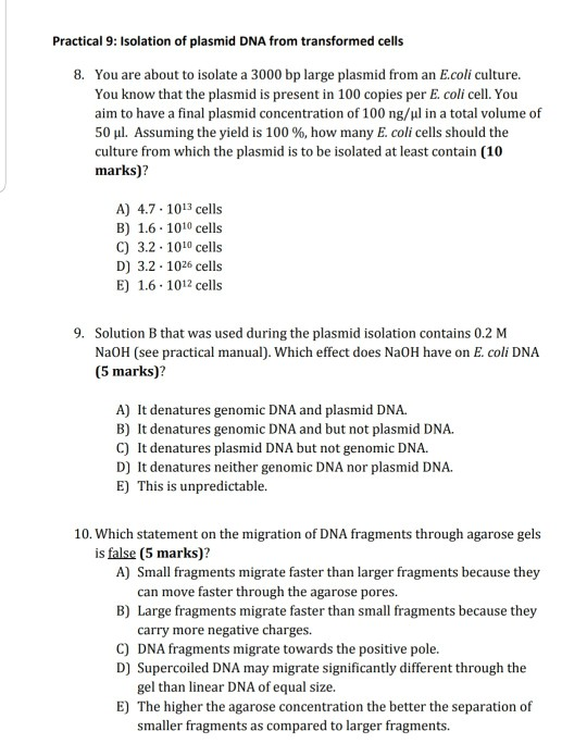 Solved Practical 9: Isolation of plasmid DNA from | Chegg.com