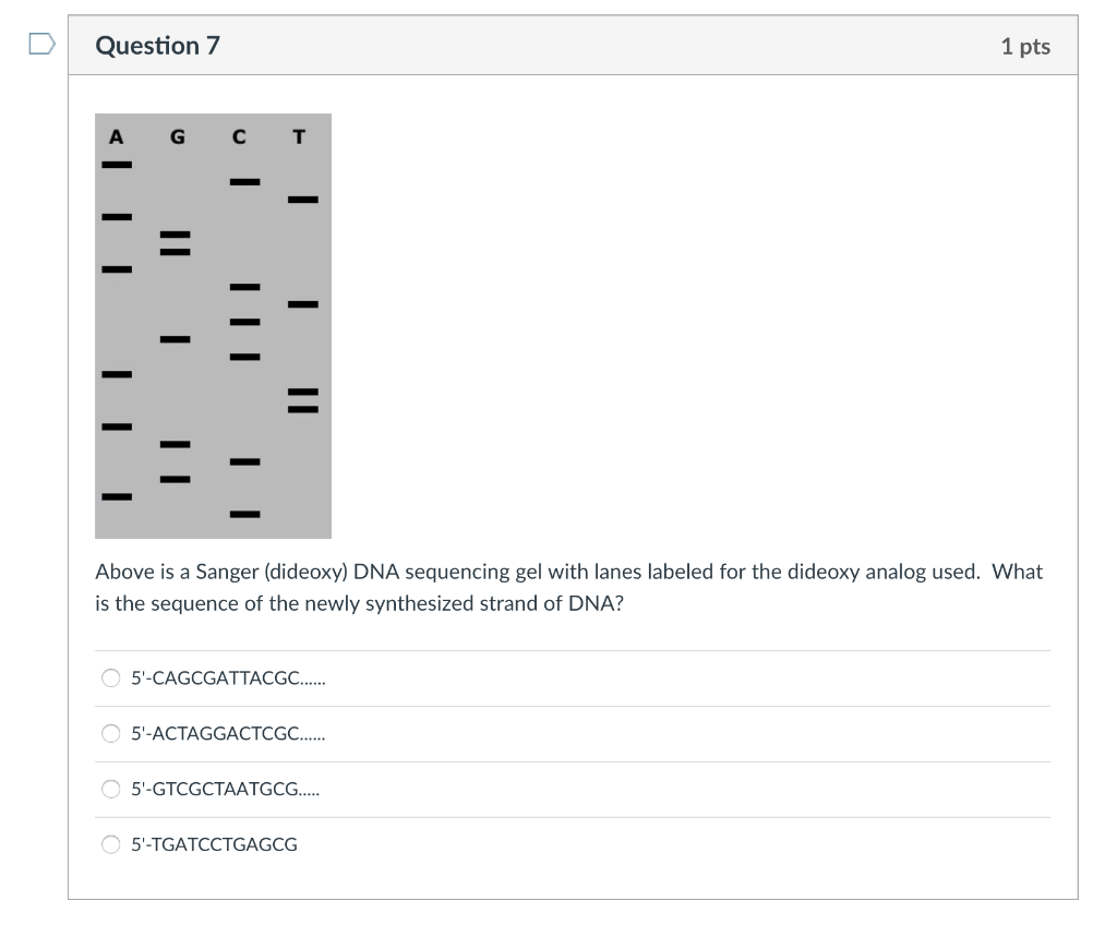 Solved Question 7 1 pts A G C T Above is a Sanger (dideoxy) | Chegg.com