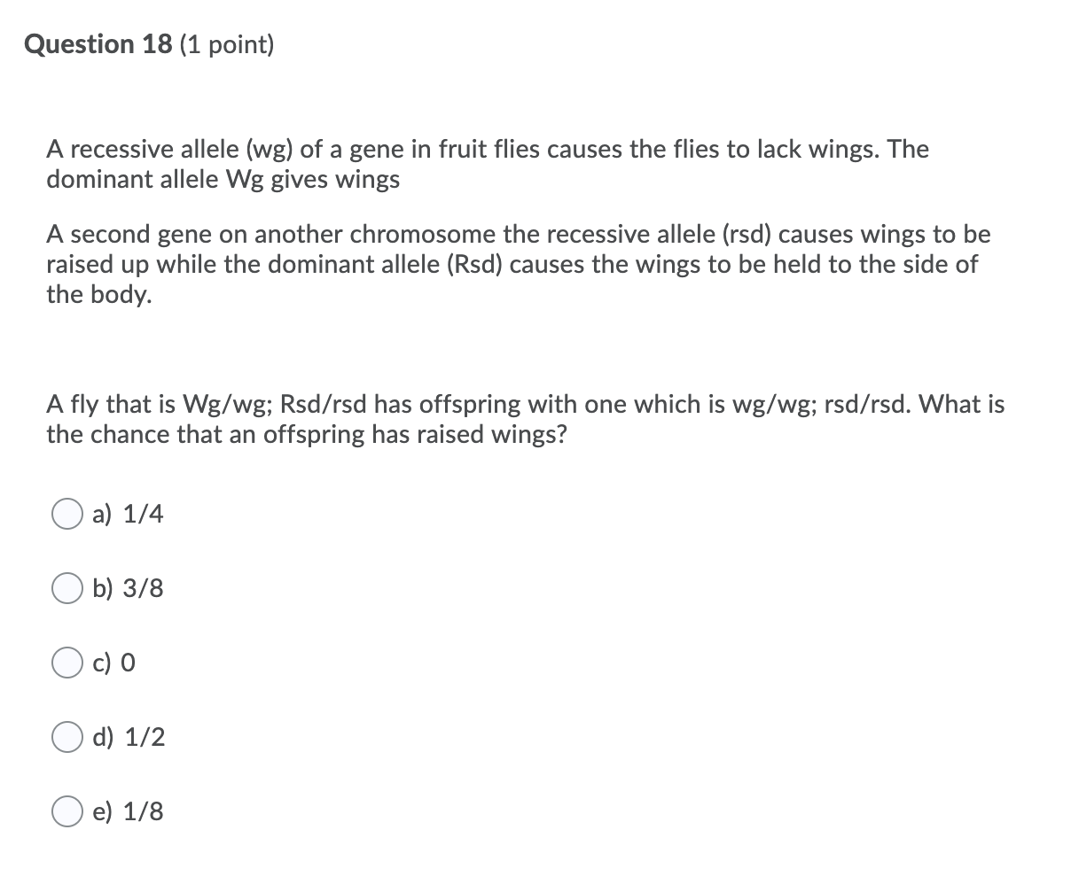 Solved Question 18 (1 point) A recessive allele (wg) of a | Chegg.com