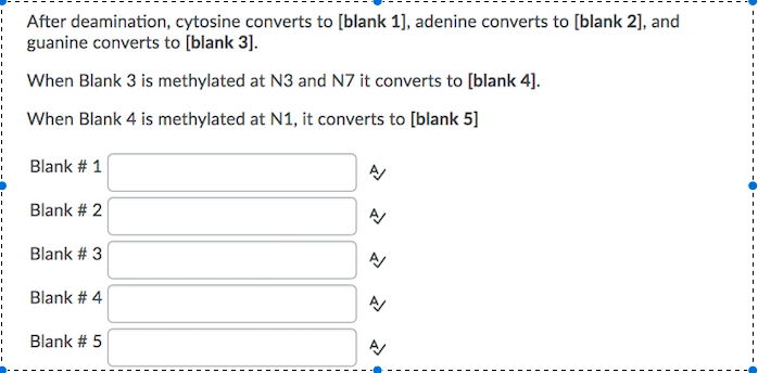 Solved After deamination, cytosine converts to [blank 1), | Chegg.com