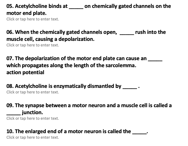 Solved Muscular System: The Neuromuscular Junction 01. | Chegg.com