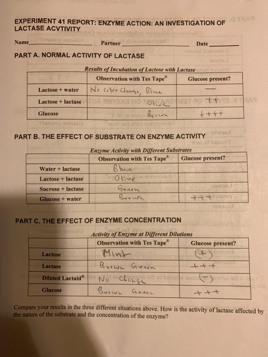 Solved: EXPERIMENTAL PROCEDURE PART A. NORMAL ACTIVITY OF | Chegg.com