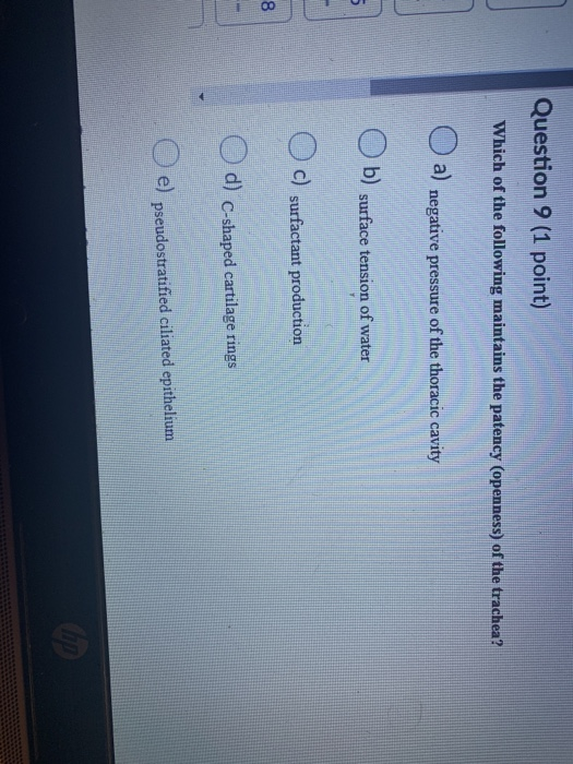 Solved Question 6 (1 Point) Which Of The Following Is A | Chegg.com Solved Question 6 (1 Point) Which Of The Following Is A | Chegg.com