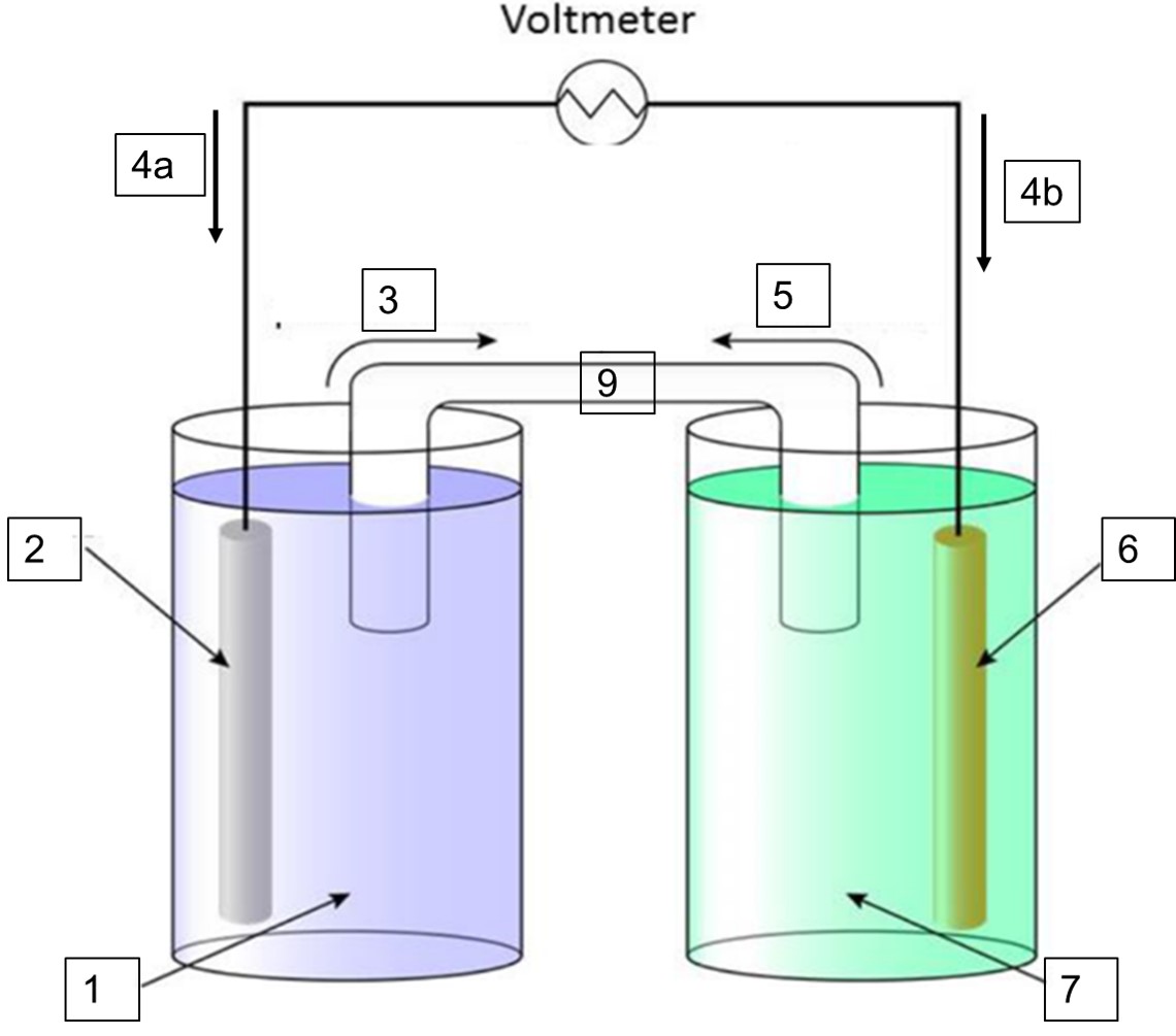 2. Wite the following the anode half-reaction the | Chegg.com