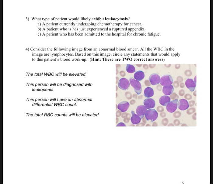 Solved A patient has a differential WBC with abnormally high