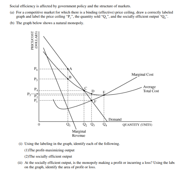 Solved Social efficiency is affected by government policy | Chegg.com