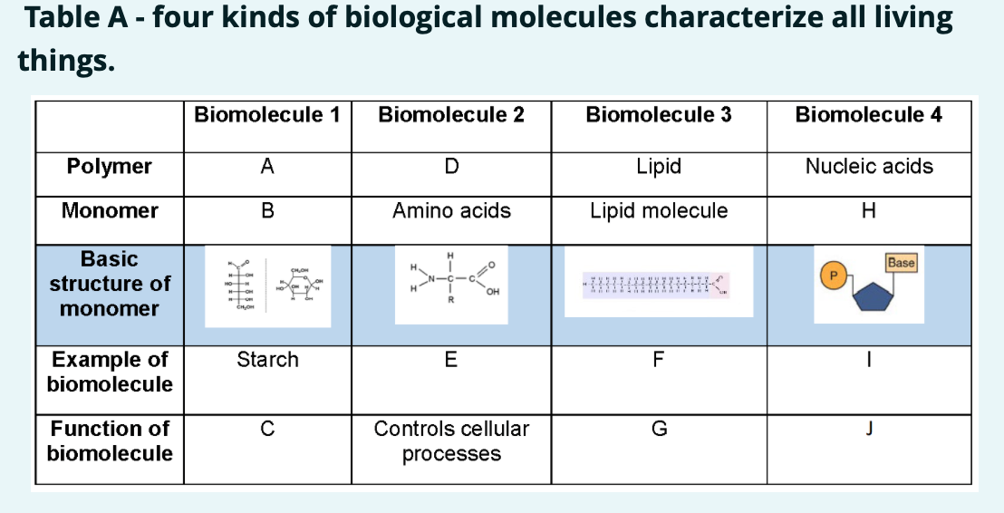 Review Of 4 Major Types Of Biomolecules And Their Fun vrogue.co