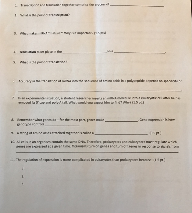 Solved 1. Transcription and translation together comprise | Chegg.com