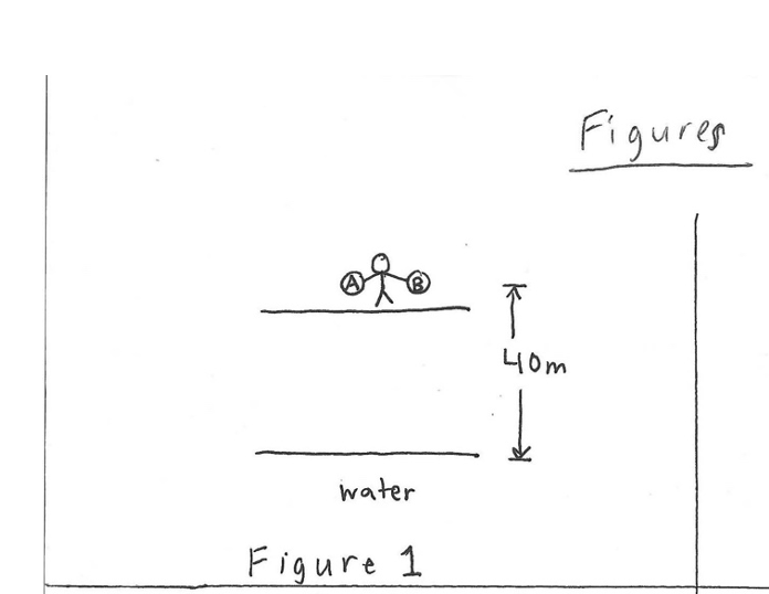 Solved Free-Fall in 1D See Figure 1. A man has two stones, | Chegg.com
