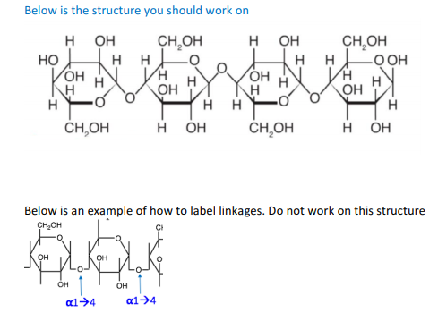 Solved Carbohydrates Identify all the glycosidic linkages | Chegg.com