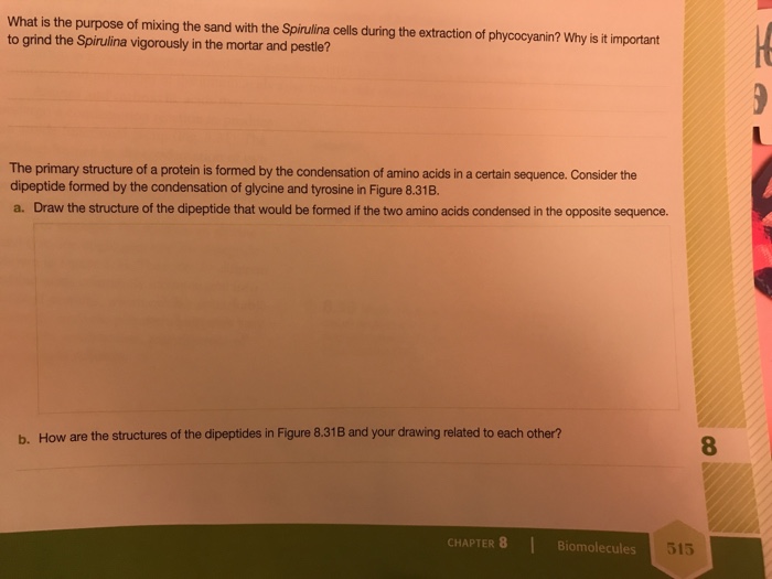 Solved What is the purpose of mixing the sand with the