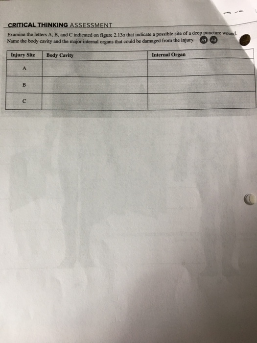 CRITİCALTHINKİNGASSESSMENT Examine the letters A, B,