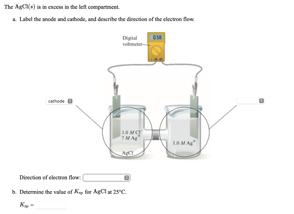 Solved The AgCl(s) is in excess in the left compartment. a. | Chegg.com