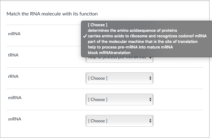 Solved Match The RNA Molecule With Its Function [Choose ] | Chegg.com