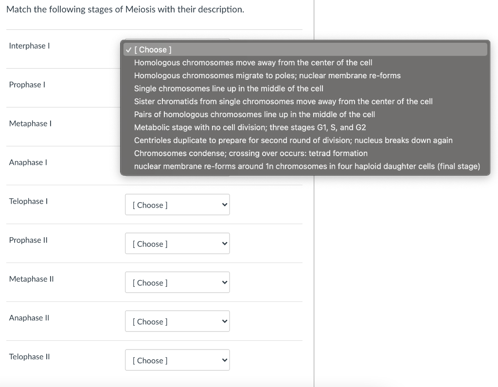 Solved Match the following stages of Meiosis with their | Chegg.com