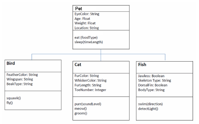 Pet EyeColor: String Age: Float Weight: Float Location: String eat (foodType) sleep(timelength) Bird Fish Cat FeatherColor: S