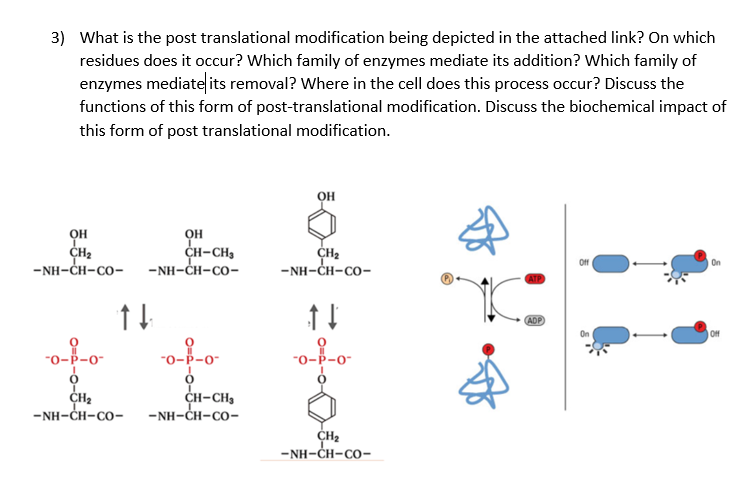 Where Does Post Transcriptional Modification Occur