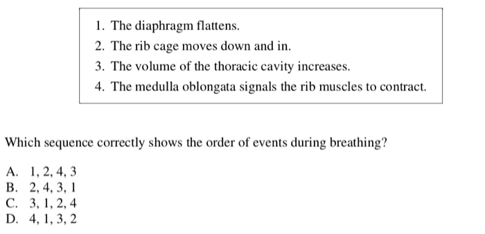 Which Sequence Correctly Shows Oxygen Movement During Respiration 79+ Pages Solution [1.3mb] - Latest Update 