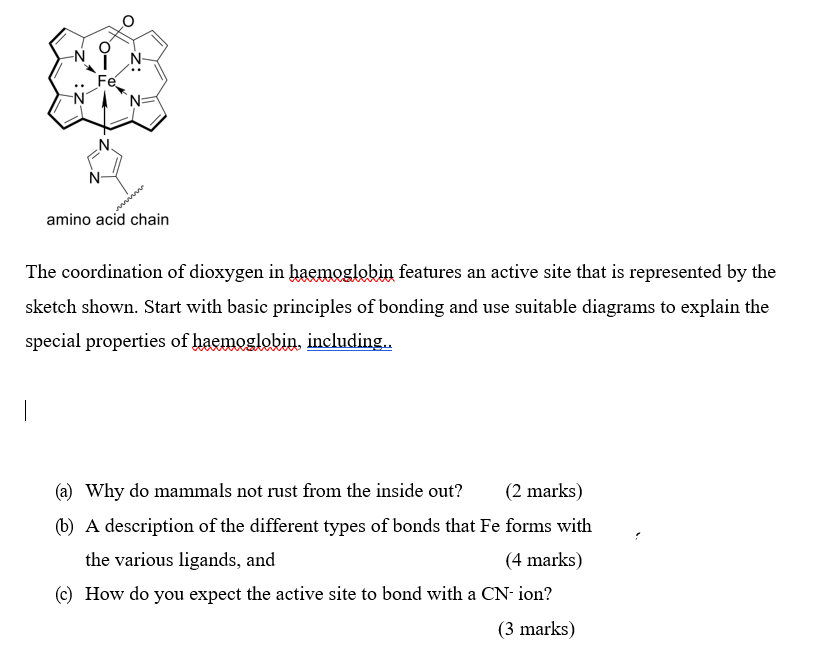 Solved o N. Fe N amino acid chain The coordination of