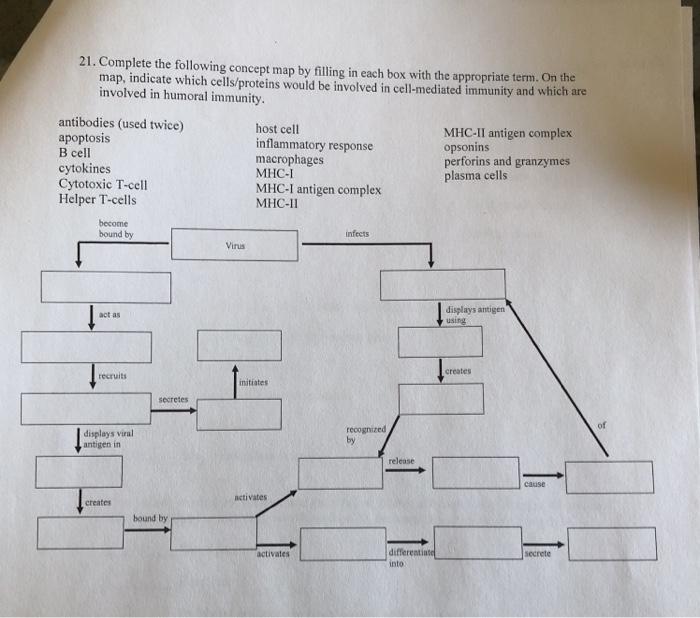 Solved complete the following concept map by filling in each | Chegg.com