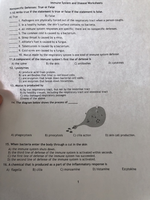 Immune System Vocabulary Worksheet Answers