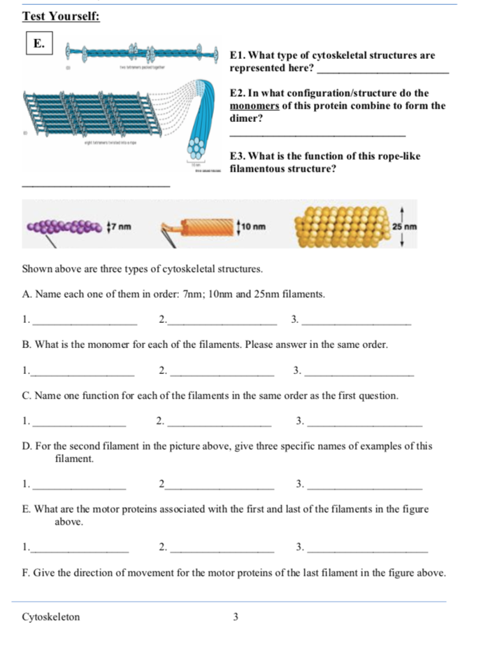Solved Test Yourself: E1. What type of cytoskeletal | Chegg.com