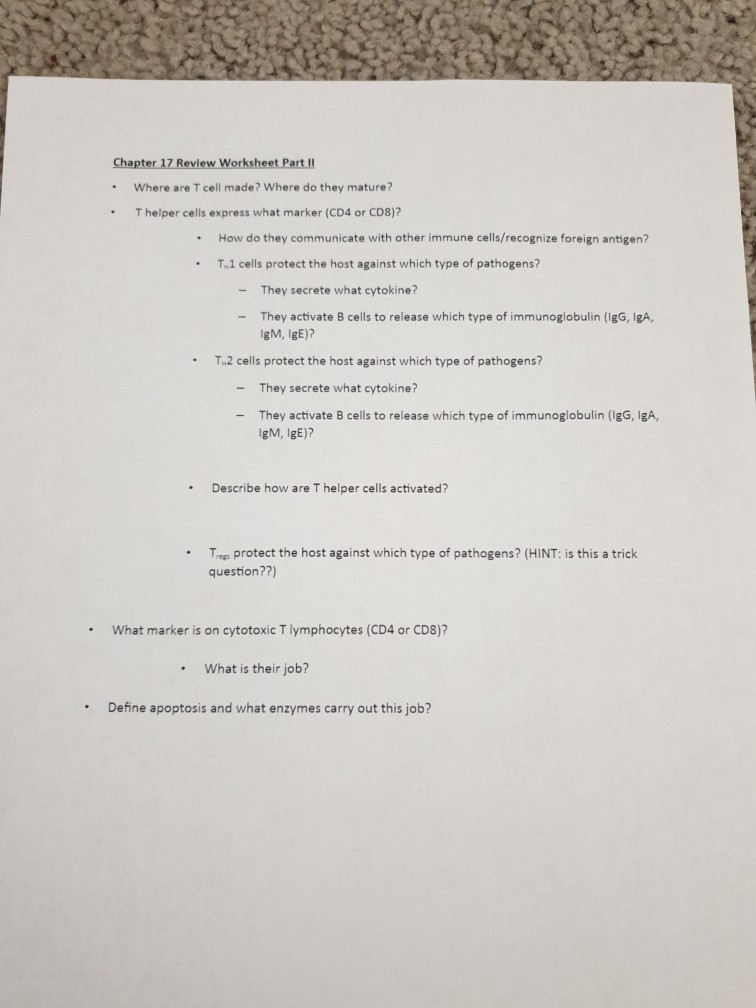 Solved Chapter 17 Review Worksheet Part II • Where are T | Chegg.com