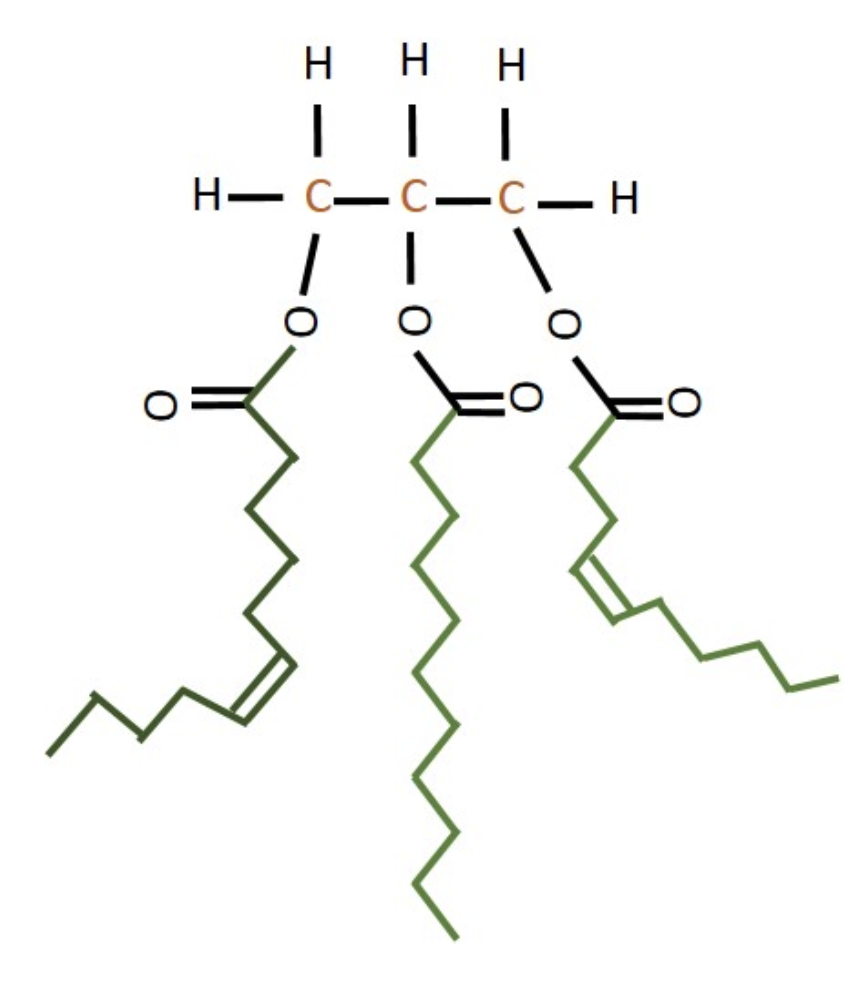 solved-this-molecule-is-a-liquid-at-room-temperature-b-chegg