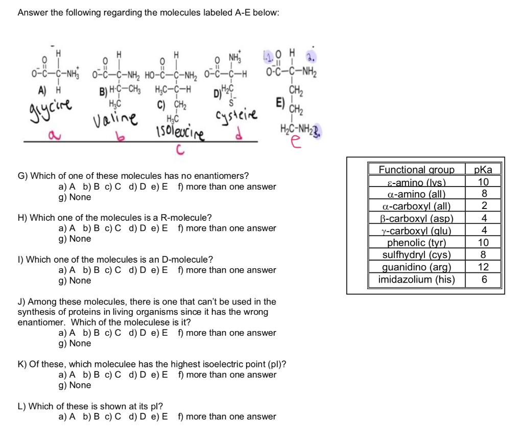 Solved Answer The Following Regarding The Molecules Label Chegg Com