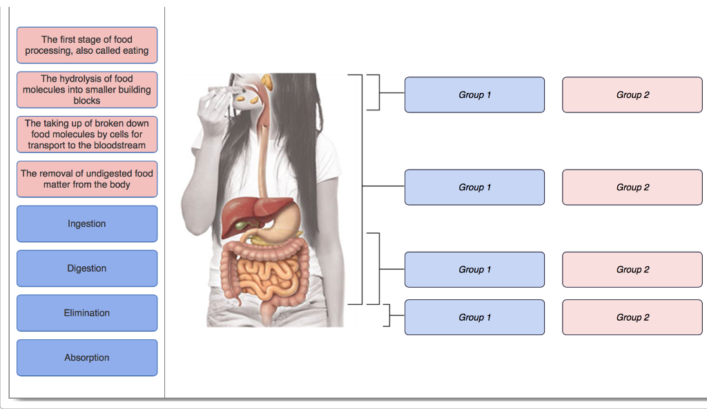 solved-the-first-stage-of-food-processing-also-called-chegg