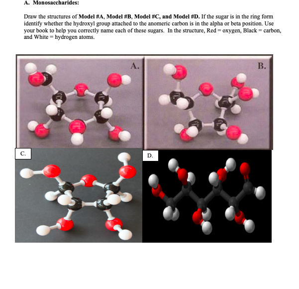 Solved A Monosaccharides Draw The Structures Of Model A