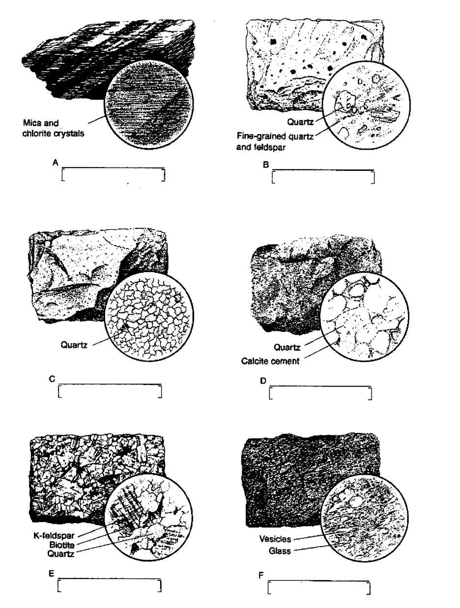 Solved Identify these types of rock. Can be igneous, | Chegg.com