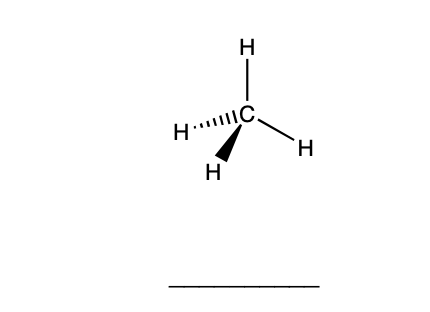 Solved Determine How Many Hydrogen Bonds Can Form Between Chegg Com