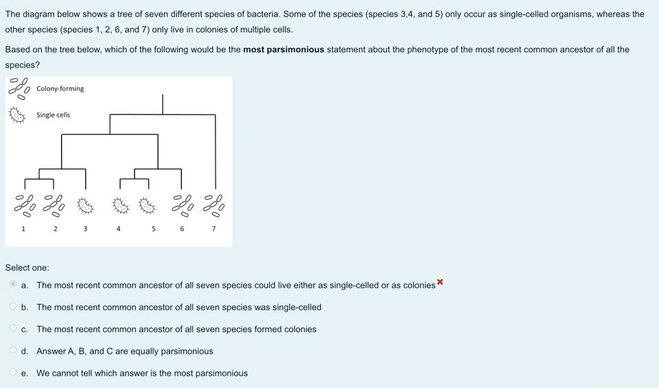 Solved The diagram below shows a tree of seven different | Chegg.com