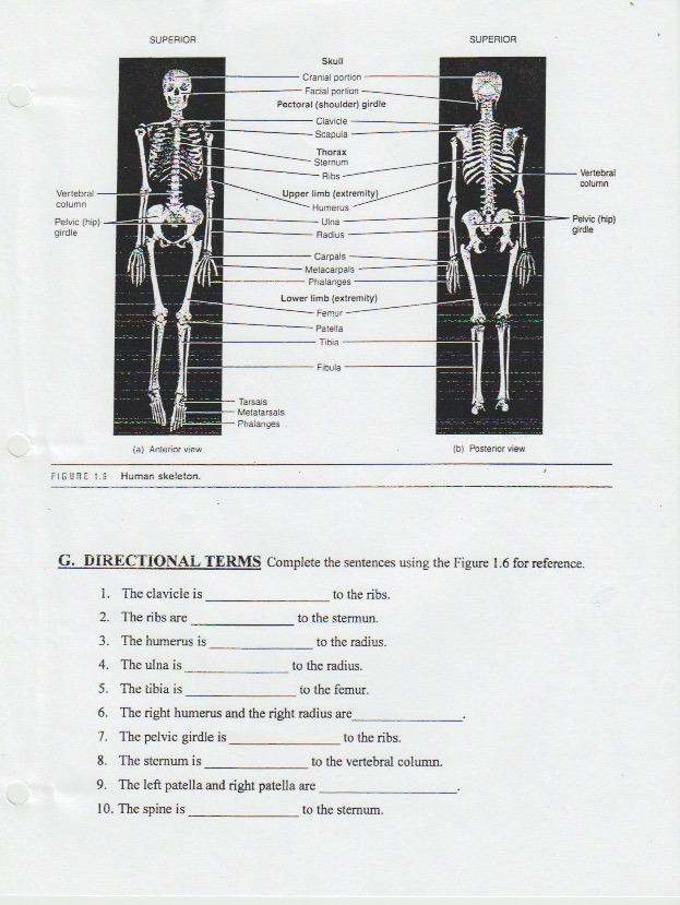 Solved Please help as soon as possible. If you can take a | Chegg.com