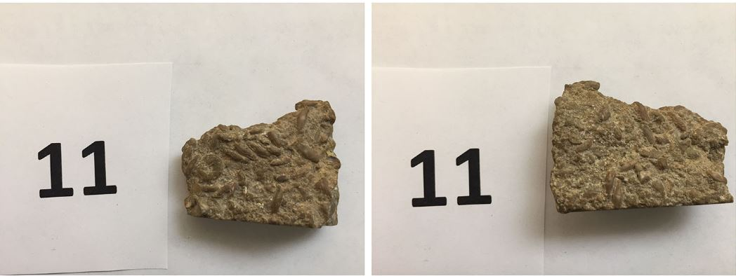 Solved ANSWER THE QUESTIONS RELATING TO EACH SAMPLE. SAMPLE | Chegg.com