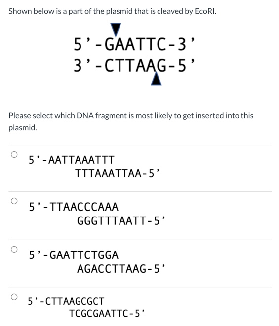 Solved Shown below is a part of the plasmid that is cleaved | Chegg.com