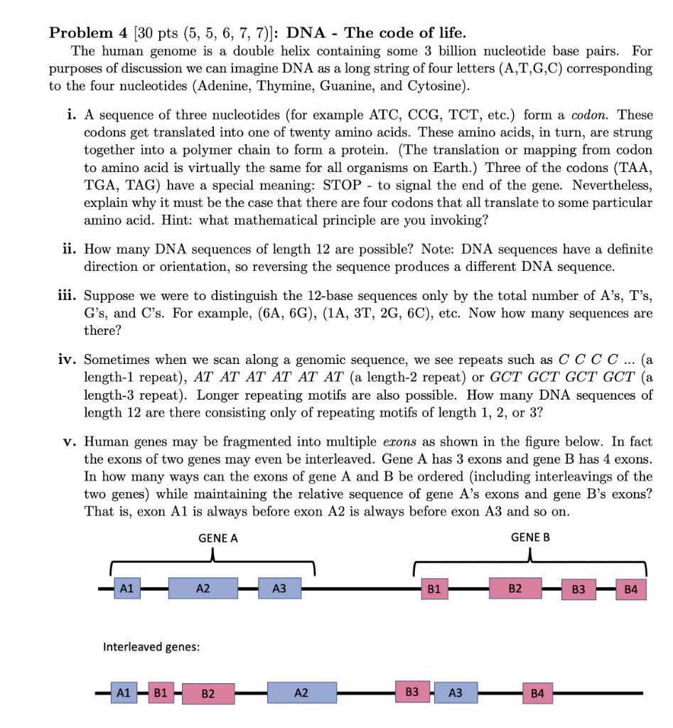 human dna sequence example