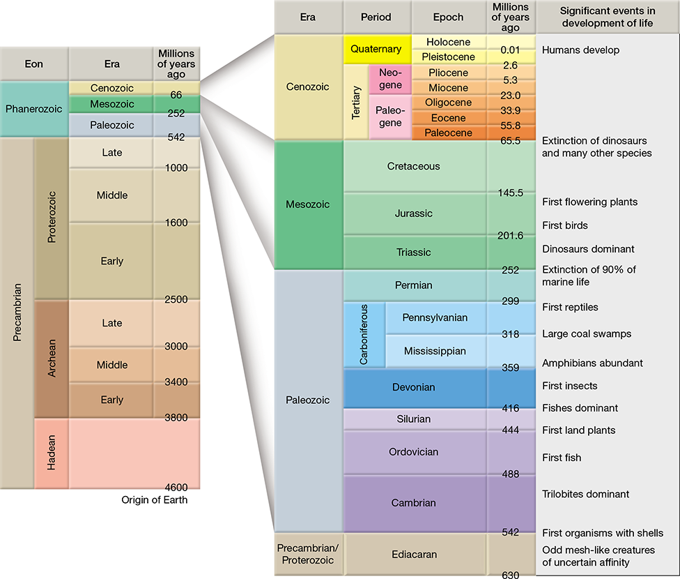 Solved Figure 6. Geologic Time Scale Look at the | Chegg.com
