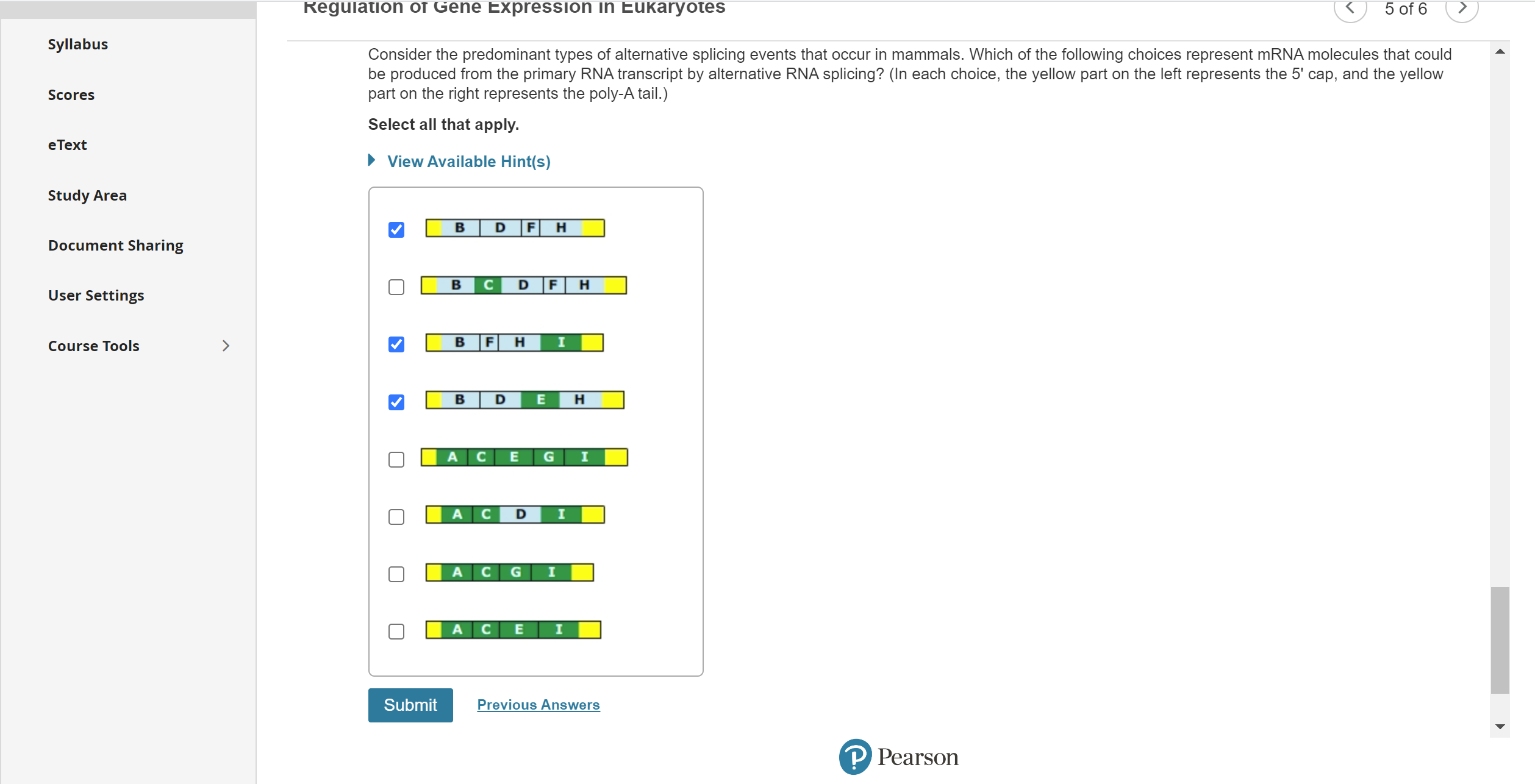 solved-the-diagram-below-shows-a-segment-of-dna-containing-chegg