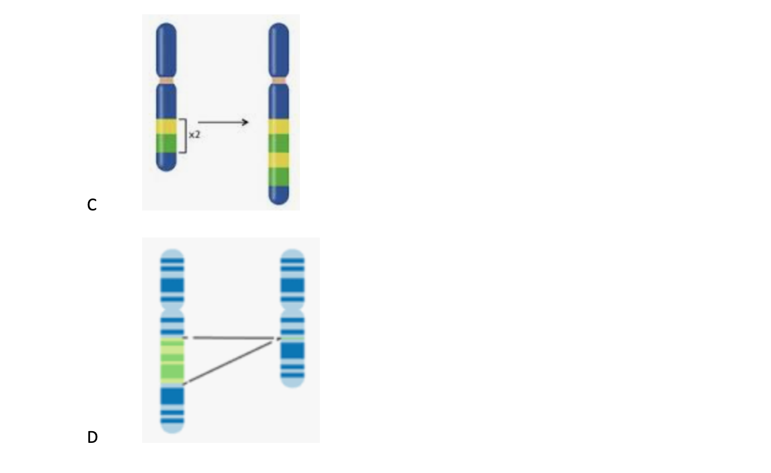 Solved Indicate the type of mutation shown in each figure of | Chegg.com