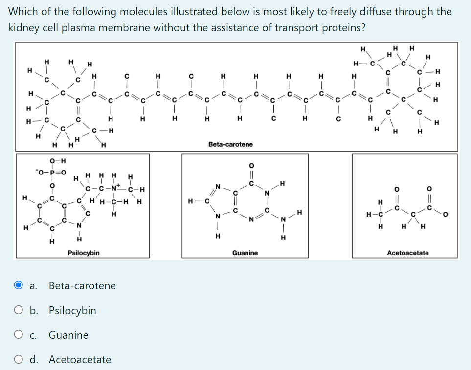 Solved Which of the following molecules illustrated below is | Chegg.com