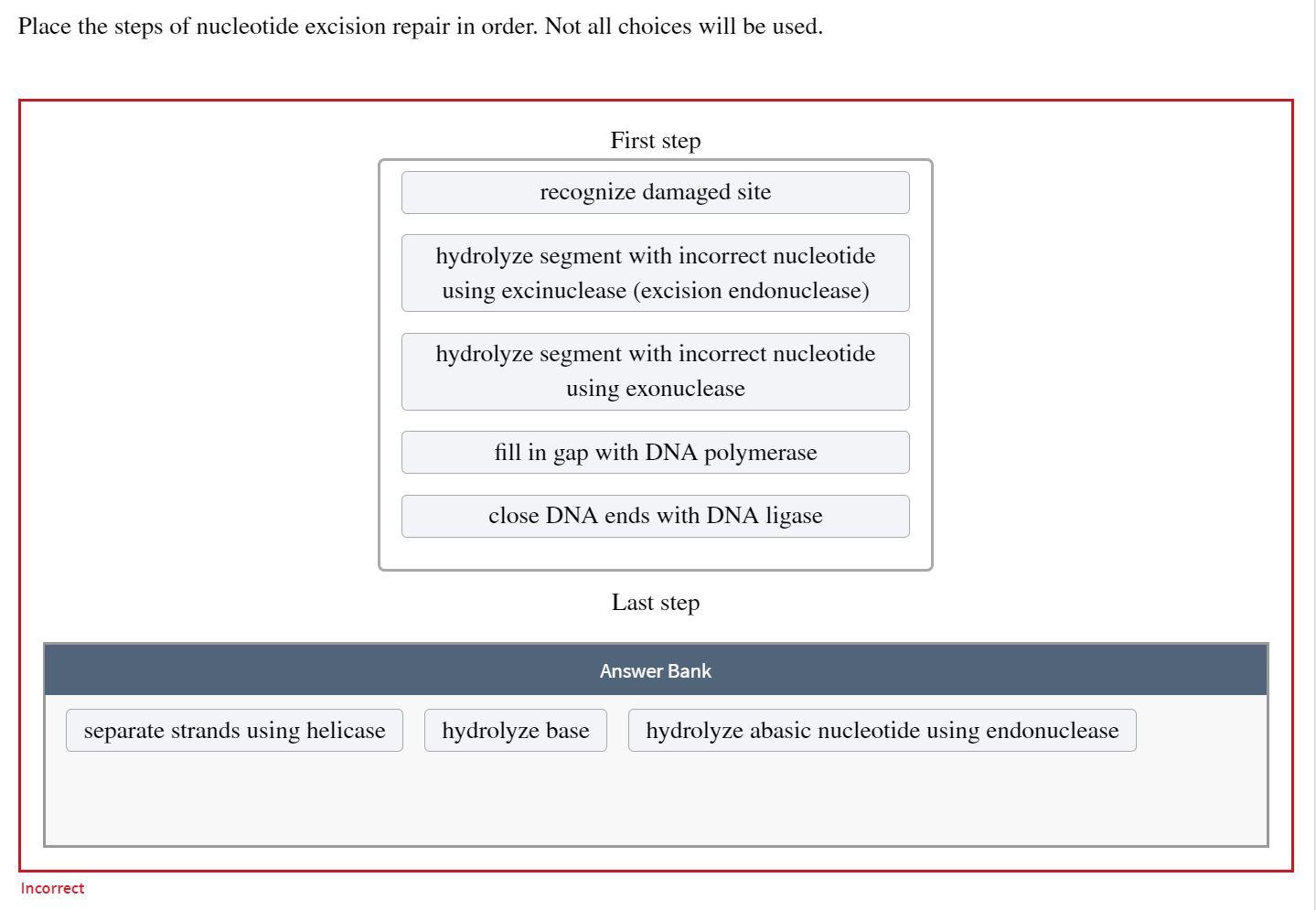 Solved Place the steps of nucleotide excision repair in | Chegg.com