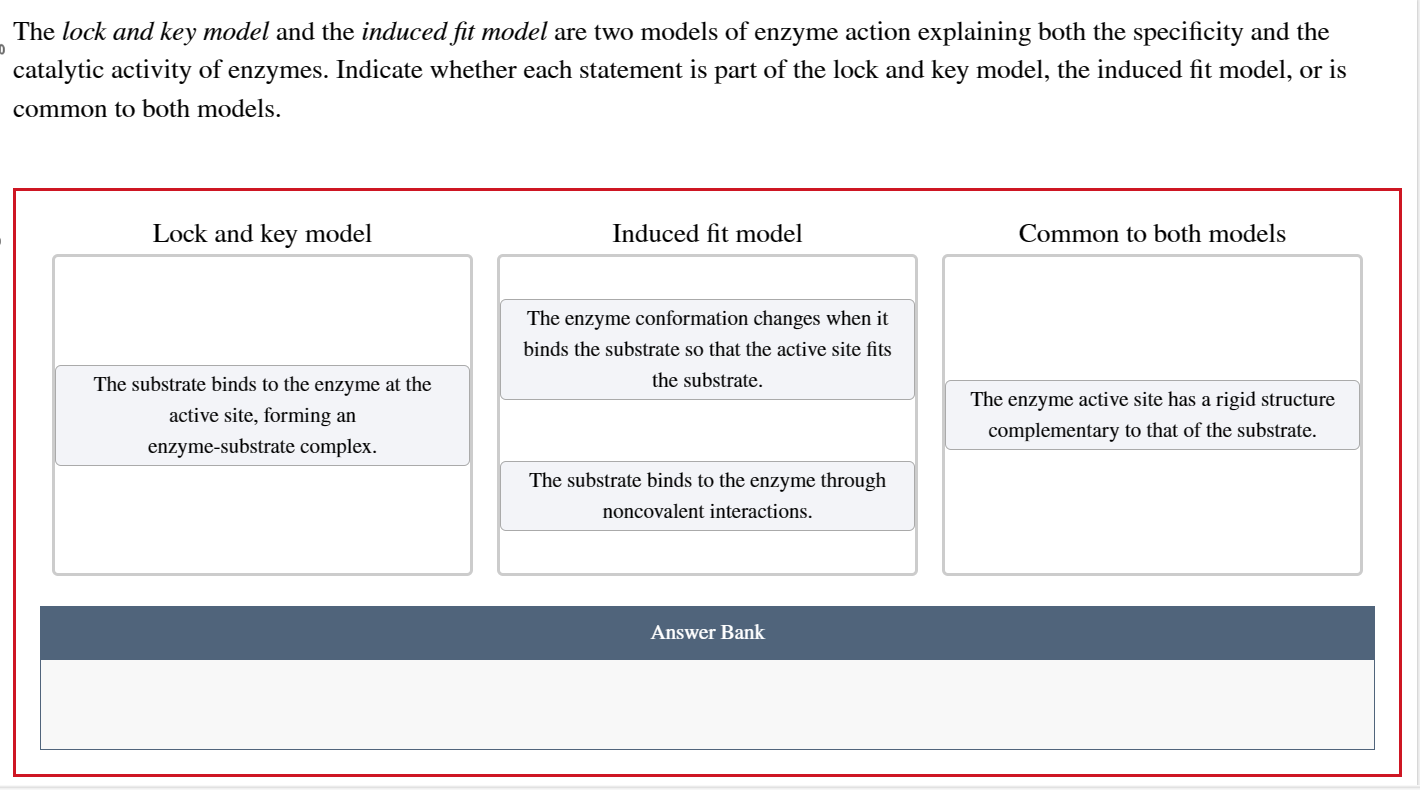 Solved The lock and key model and the induced fit model are | Chegg.com