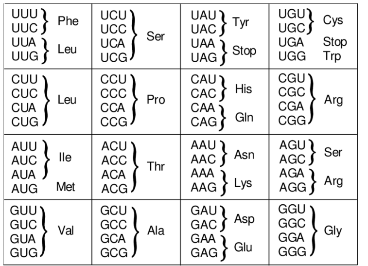 Solved You examine an anticodon that has sequence 5'CUG3' | Chegg.com