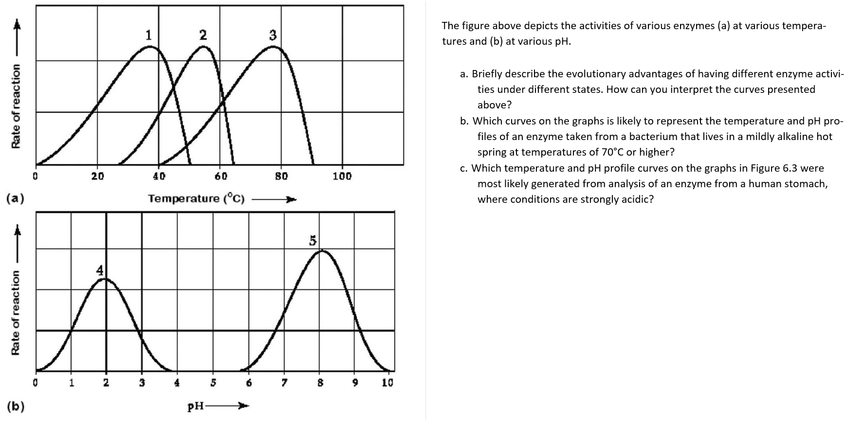 Solved 3 The figure above depicts the activities of various | Chegg.com