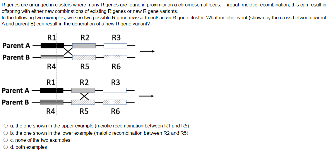 Solved R genes are arranged in clusters where many R genes | Chegg.com