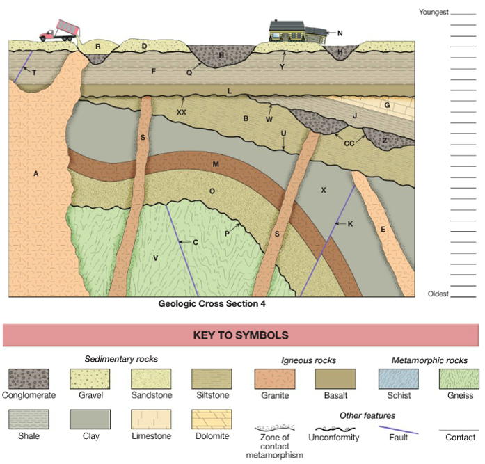 Solved Examine the Geologic Cross Sections and review the | Chegg.com